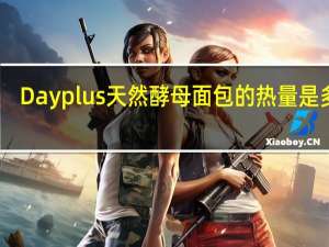 Dayplus 天然酵母面包的热量是多少