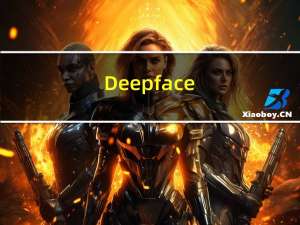 Deepface(换脸软件) V1.01 官方版（Deepface(换脸软件) V1.01 官方版功能简介）