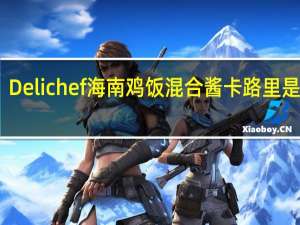 Delichef 海南鸡饭混合酱卡路里是多少