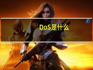 DoS是什么