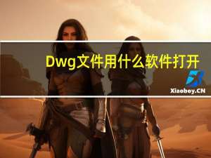 Dwg文件用什么软件打开（dwl文件用什么软件打开）