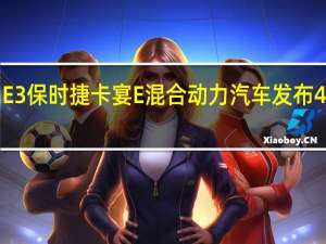 E3保时捷卡宴E混合动力汽车发布462PS
