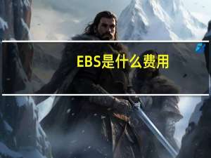 EBS是什么费用