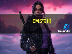 EMS快吗