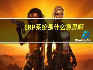 ERP系统是什么意思啊