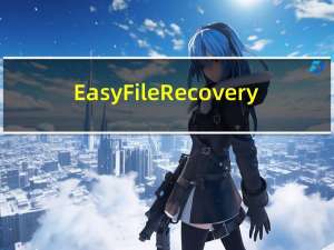 Easy File Recovery(简单文本恢复) V2.0.0 汉化绿色免费版（Easy File Recovery(简单文本恢复) V2.0.0 汉化绿色免费版功能简介）