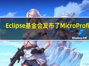 Eclipse基金会发布了Micro Profile3.3，对五种API进行了更新