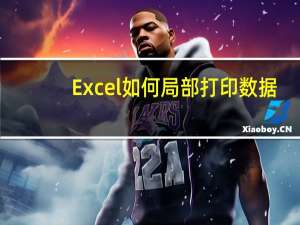 Excel如何局部打印数据