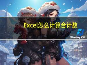 Excel怎么计算合计数