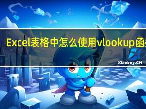 Excel表格中怎么使用vlookup函数呢