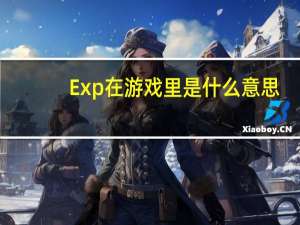 Exp在游戏里是什么意思