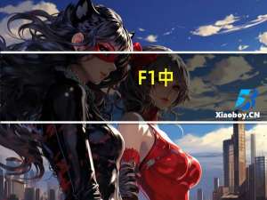 F1中，赛车进站那些服务的人员，有介绍没
