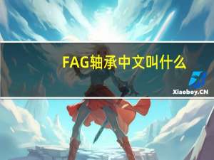 FAG軸承中文叫什么