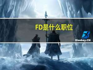 FD是什么职位