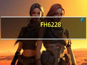 FH6228（sh6228c(FH6228)）