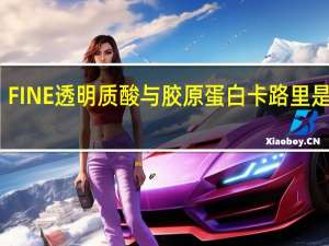 FINE 透明质酸与胶原蛋白卡路里是多少