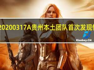 FRB 20200317A 贵州本土团队首次发现快速射电暴