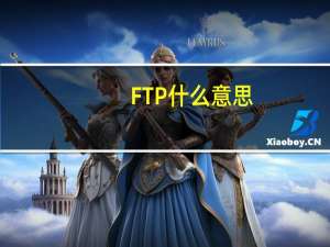 FTP什么意思