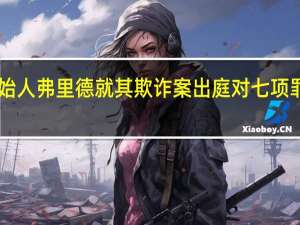 FTX创始人弗里德就其欺诈案出庭 对七项罪名均不认罪