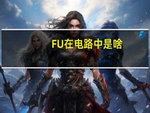 FU在电路中是啥