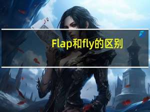 Flap和fly的区别