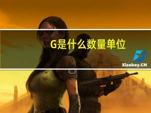 G是什么数量单位