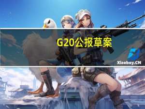 G20公报草案：呼吁进一步完善多边开发银行的工作同时确保它们的财务可持续性