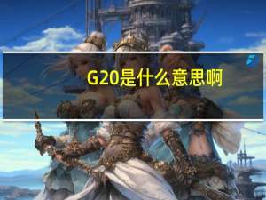 G20是什么意思啊（g20的g是什么意思）