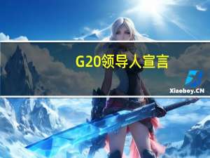 G20领导人宣言：到2030年需要每年获得4万亿美元的清洁能源技术投资以实现2050年零排放目标