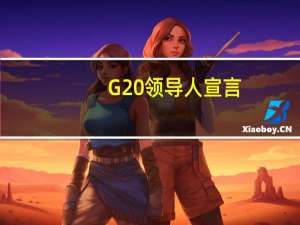 G20领导人宣言：将通过现有目标和政策追求并鼓励全球可再生能源产能增长三倍