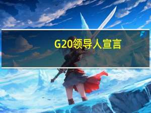 G20领导人宣言：食品和能源市场存在高水平波动的可能