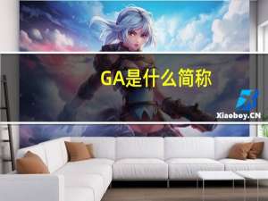 GA是什么简称