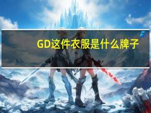 GD这件衣服是什么牌子