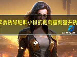 GKA改善饮食诱导肥胖小鼠的葡萄糖耐量并诱导肝脏脂质积累