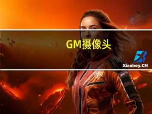 GM摄像头