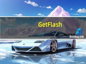 GetFlash(网页FLASH下载软件) 绿色版（GetFlash(网页FLASH下载软件) 绿色版功能简介）