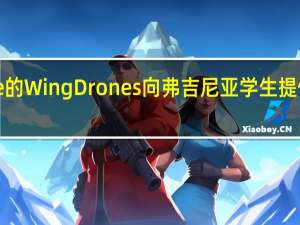 Google的WingDrones向弗吉尼亚学生提供图书馆书籍