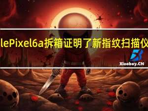 Google Pixel 6a 拆箱证明了新指纹扫描仪的真正速度