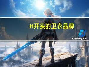 H开头的卫衣品牌