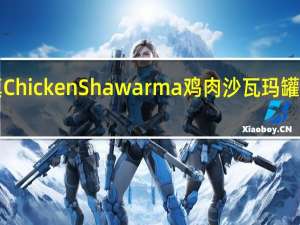HALAL  清真Chicken Shawarma 鸡肉沙瓦玛罐头 3卡路里是多少