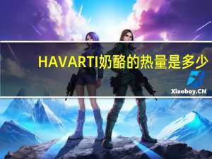 HAVARTI 奶酪的热量是多少