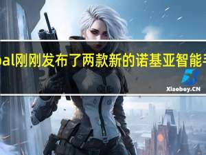 HMDGlobal刚刚发布了两款新的诺基亚智能手机XR20和C30