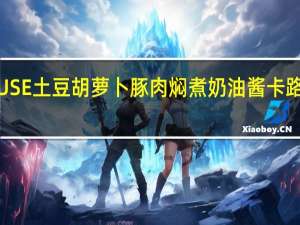 HOUSE 土豆胡萝卜豚肉焖煮奶油酱卡路里是多少