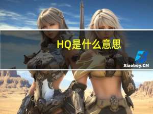 HQ是什么意思