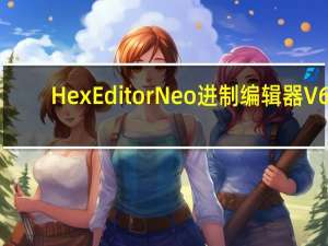 Hex Editor Neo进制编辑器 V6.31 汉化破解版（Hex Editor Neo进制编辑器 V6.31 汉化破解版功能简介）