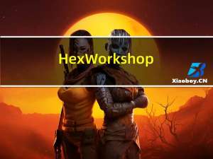 Hex Workshop(十六进制编辑器) V6.8.0.5419 免费版（Hex Workshop(十六进制编辑器) V6.8.0.5419 免费版功能简介）