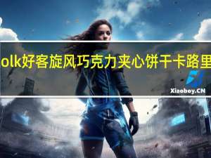 Holk 好客旋风巧克力夹心饼干卡路里是多少