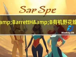 Holland & Barrett H&B 有机野花蜂蜜卡路里是多少