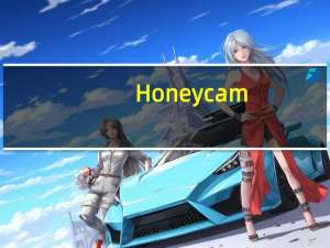 Honeycam(GIF动图制作软件) V3.50 官方最新版（Honeycam(GIF动图制作软件) V3.50 官方最新版功能简介）