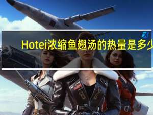 Hotei 浓缩鱼翅汤的热量是多少